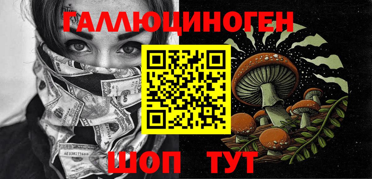 Псилоцибиновые грибы Psilocybe Красноуфимск